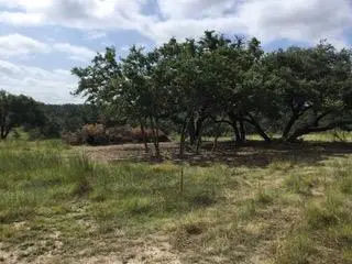 207 Verbena Ct, Johnson City, TX 78636 - Image #3