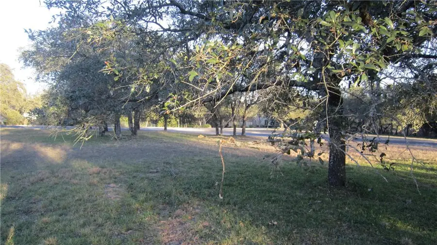 2604 Countryside Cir, Spicewood, TX 78669 - Image #2