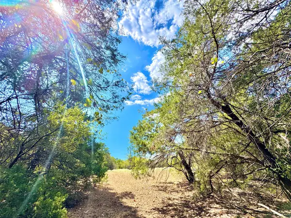 TBD 50.62 Acres Rabel Rd, Rosanky, TX 78953