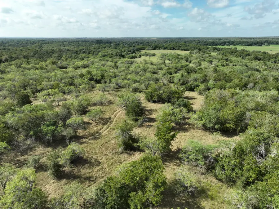 TBD Lot 2 Cr 424 Rd, Waelder, TX 78629 - #2