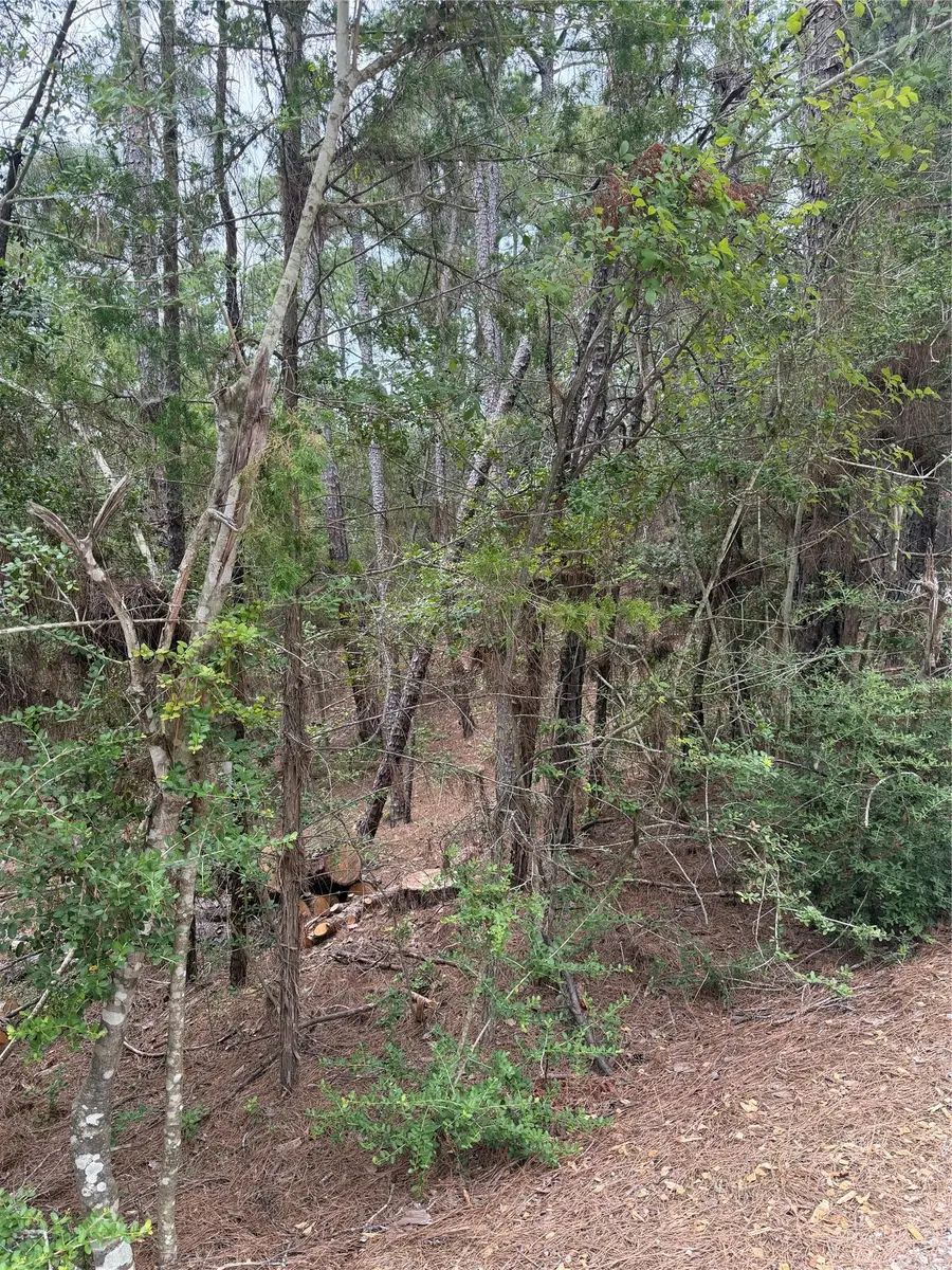 Lots 213 and 214 Hekili Dr, Bastrop, TX 78602 - #2