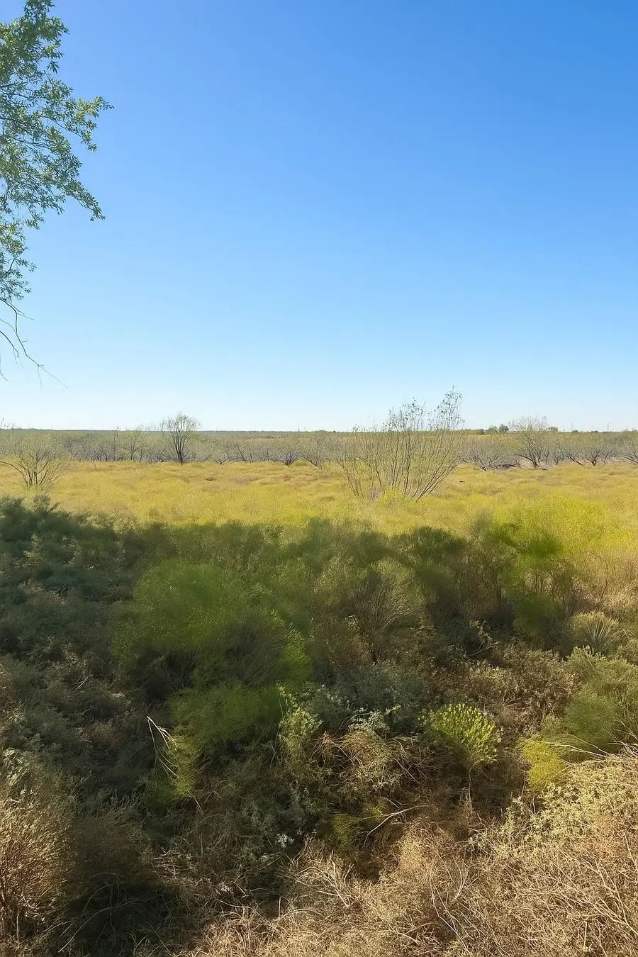 TBD County Road 112, Buckholts, TX 76518 - Image #3