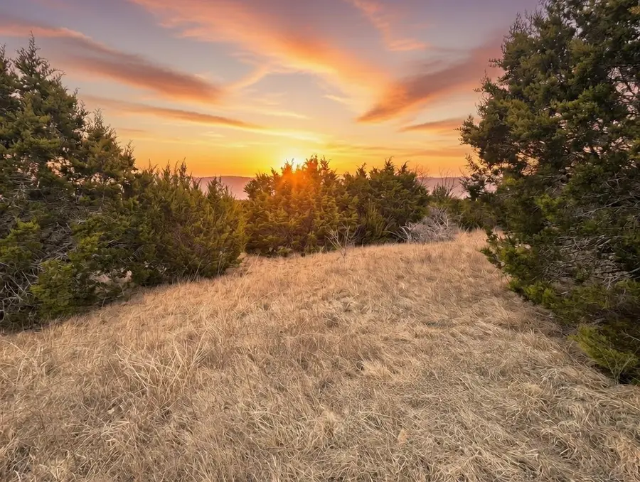 TBD Private Road 16020, Jonesboro, TX 76538 - #2