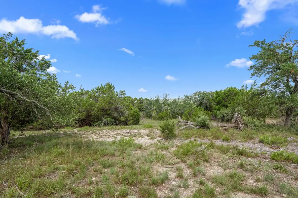 Lot D (Subdivided) Mirela Ann Rd, Dripping Springs, TX 78620 - Image #1
