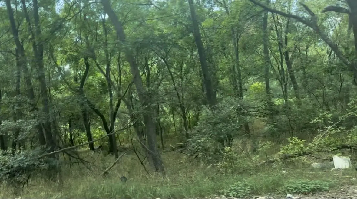 4204 Kings Ct, Austin, TX 78725 - Image #1