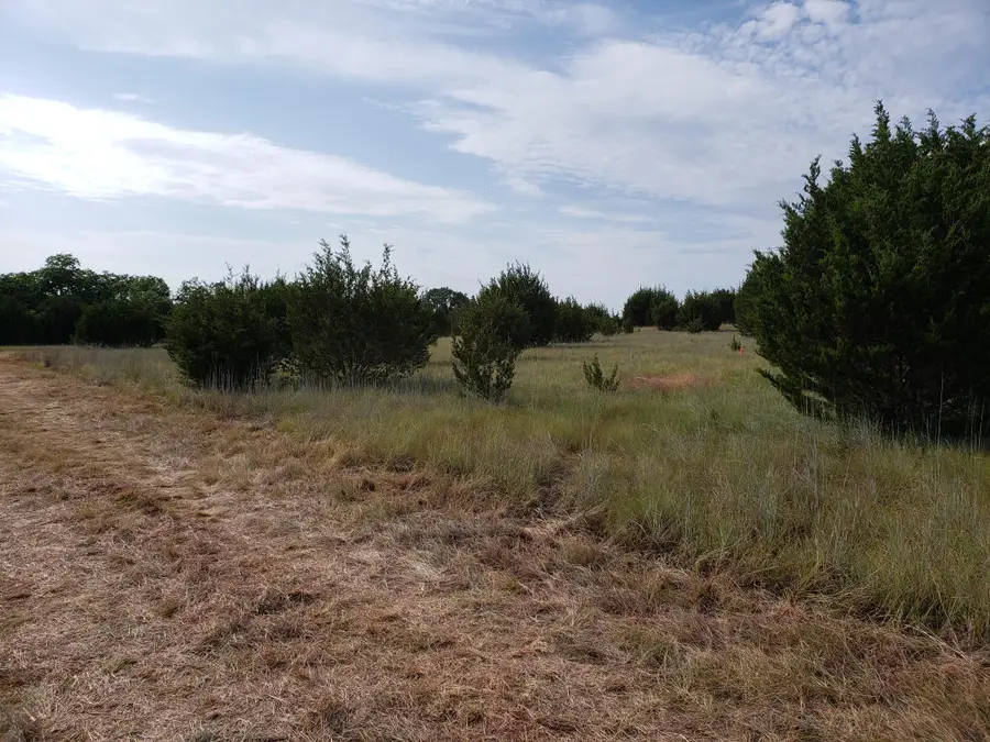 Lot 44 County Road 3640, Adamsville, TX 76522 - #3