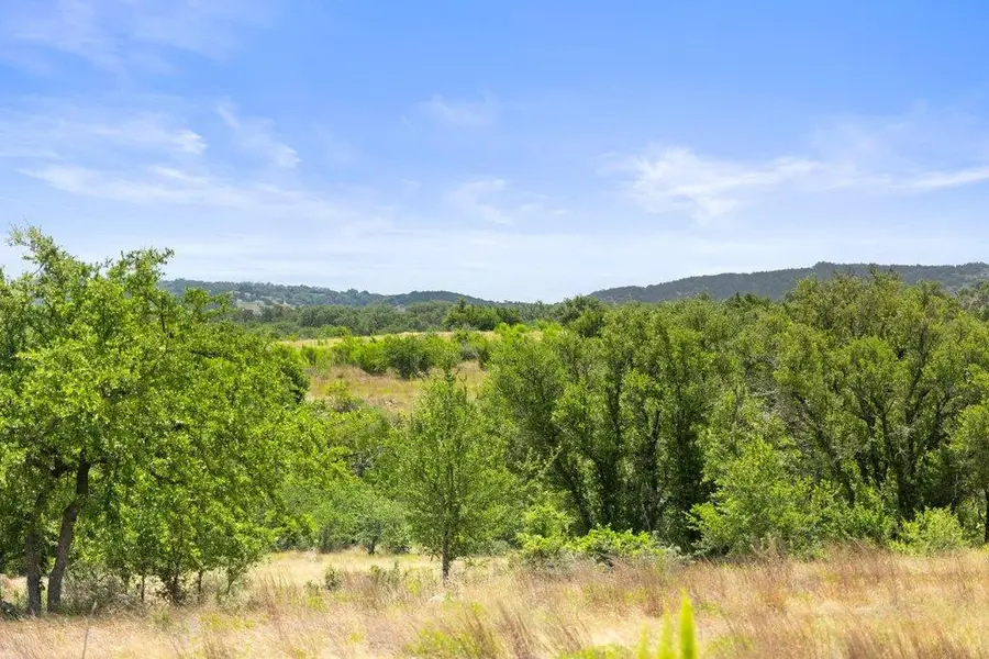 207 Verbena Rd, Johnson City, TX 78636 - #2