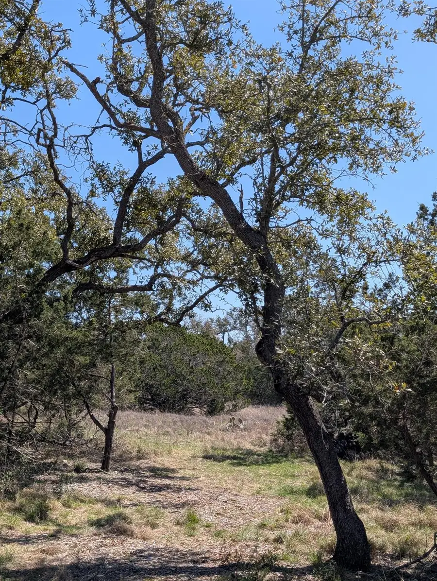 508 Deer Creek Dr, San Marcos, TX 78666 - Image #2