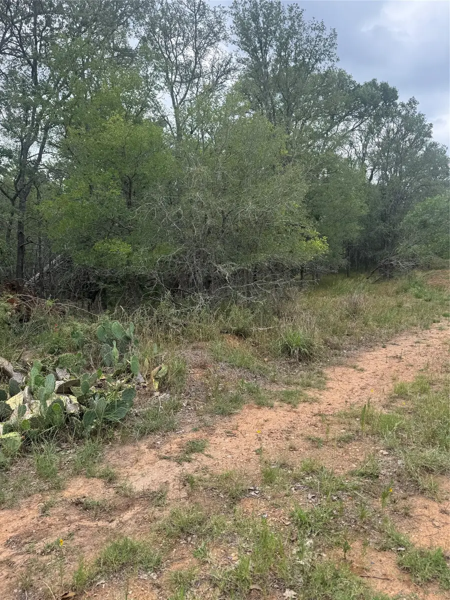 108 Howi Ln, Bastrop, TX 78602 - #3