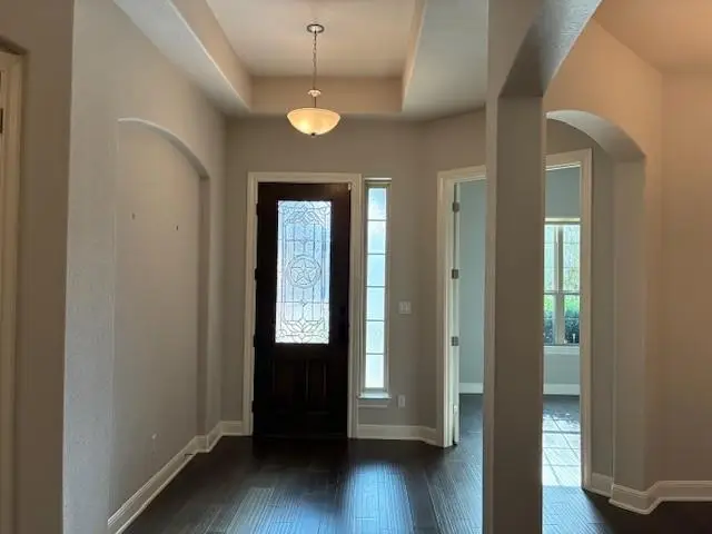 2917 Mossy Springs Dr, Leander, TX 78641 - Image #3