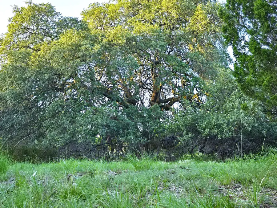 728 Cr 206, Lampasas, TX 76550 - Image #3