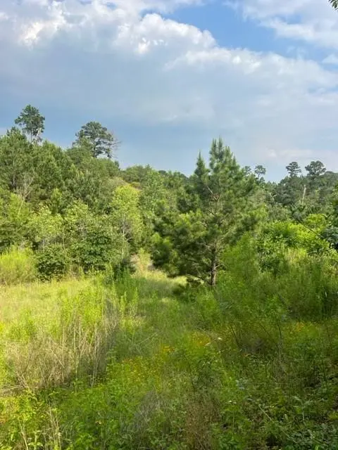 Lot 798 Tahitian Dr, Bastrop, TX 78602