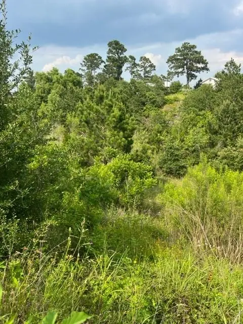 Lot 798 Tahitian Dr, Bastrop, TX 78602 - Image #2