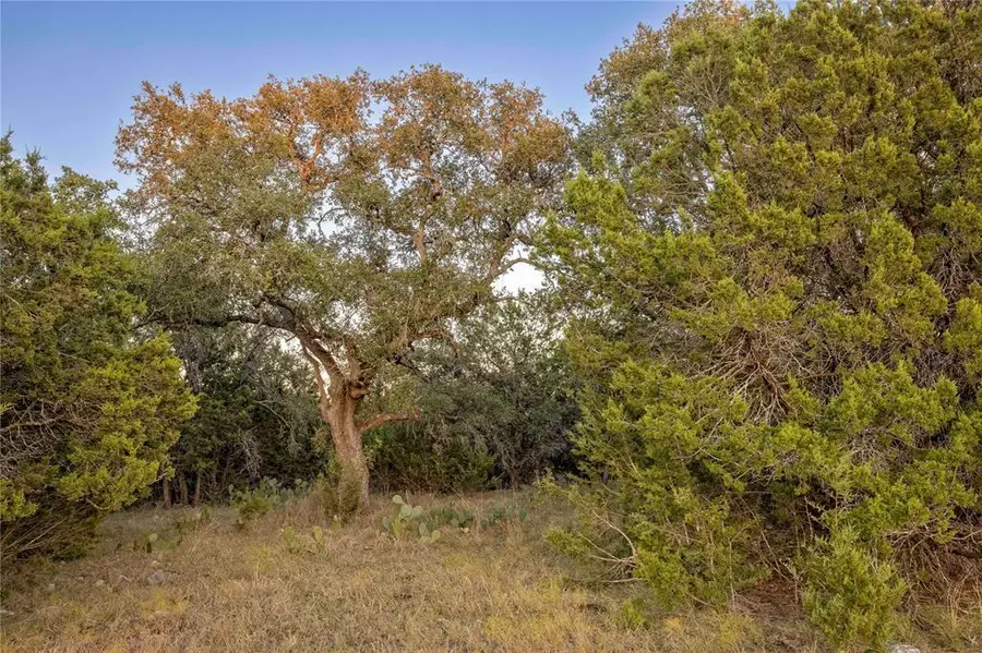 Lot 69 Mourning Dove Ln, Lampasas, TX 76550 - #3
