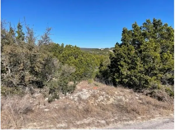 8204 Chestnut Cv, Lago Vista, TX 78645