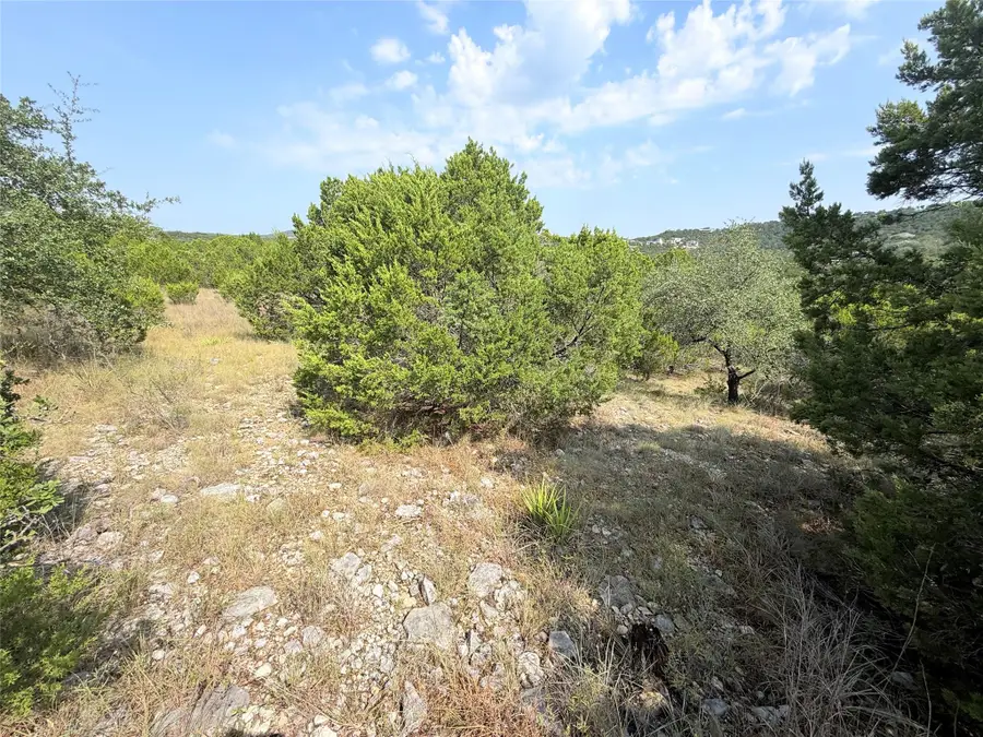 8204 Chestnut Cv, Lago Vista, TX 78645 - #3