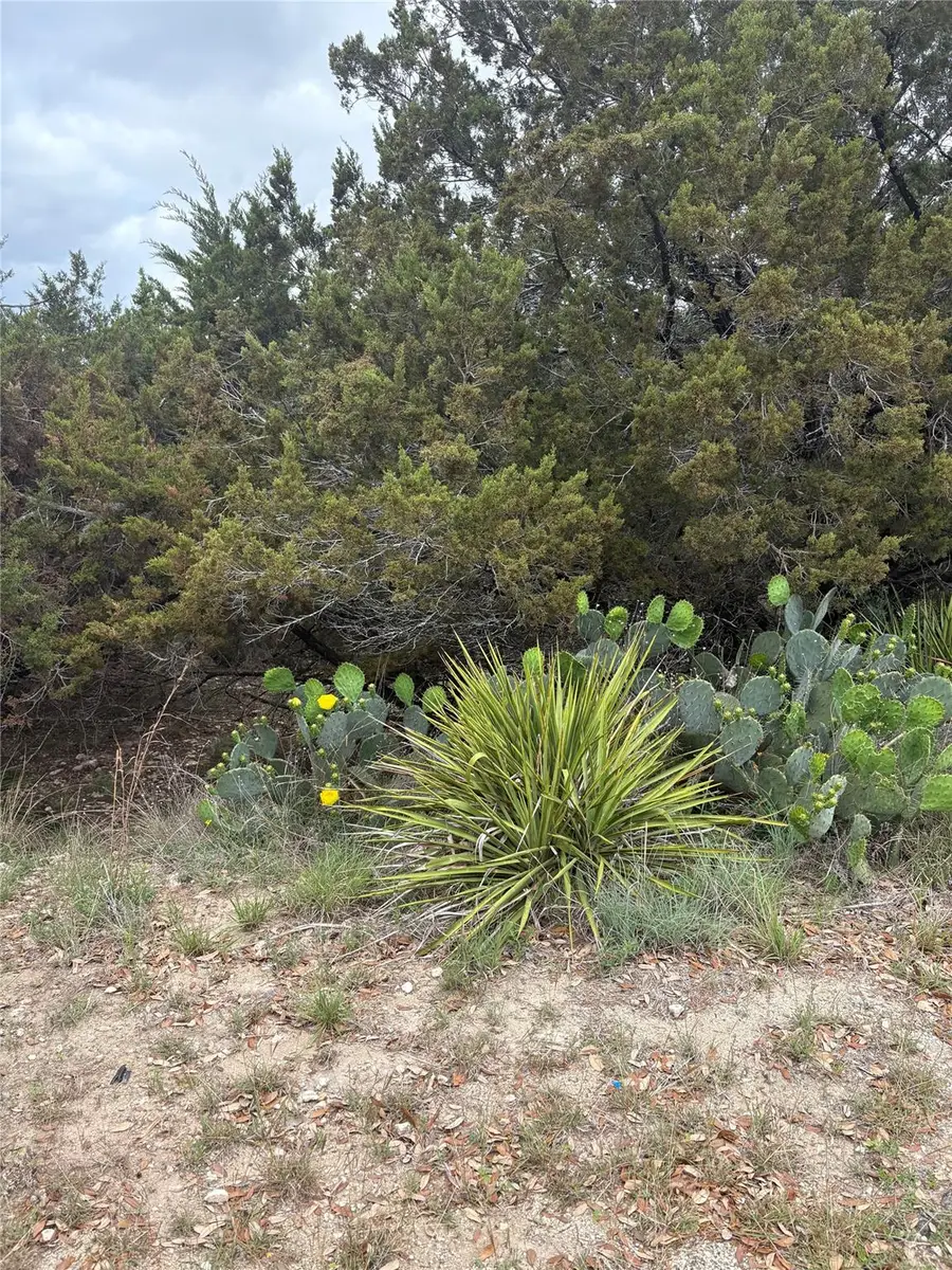 20905 Magellan Cv, Lago Vista, TX 78645 - #2