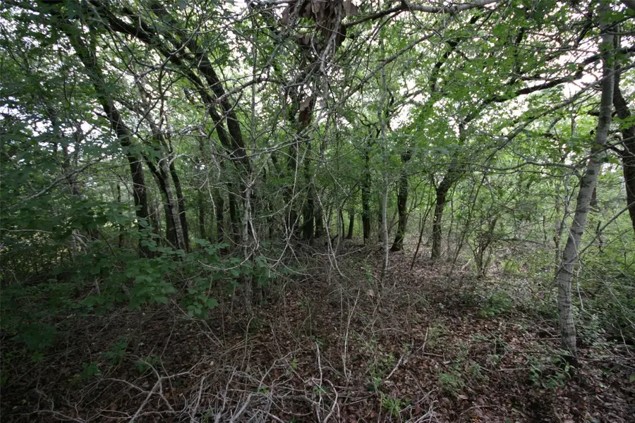 1900 County Road 156, Georgetown, TX 78628 - #3