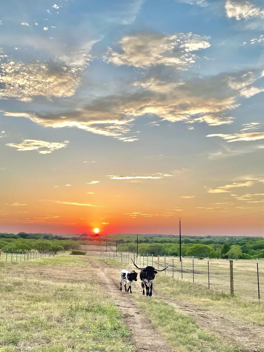 1096 County Road 447, Waelder, TX 78959 - Image #2