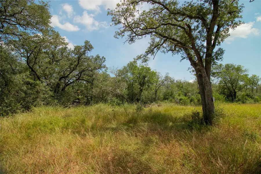 2252 Bluestem Crest Ln, Seguin, TX 78155 - Image #2