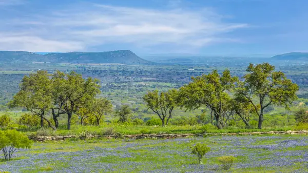 3531 Rm-3347, Round Mountain, TX 78663