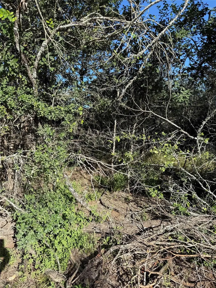 152 Helemano Dr, Bastrop, TX 78602 - #2