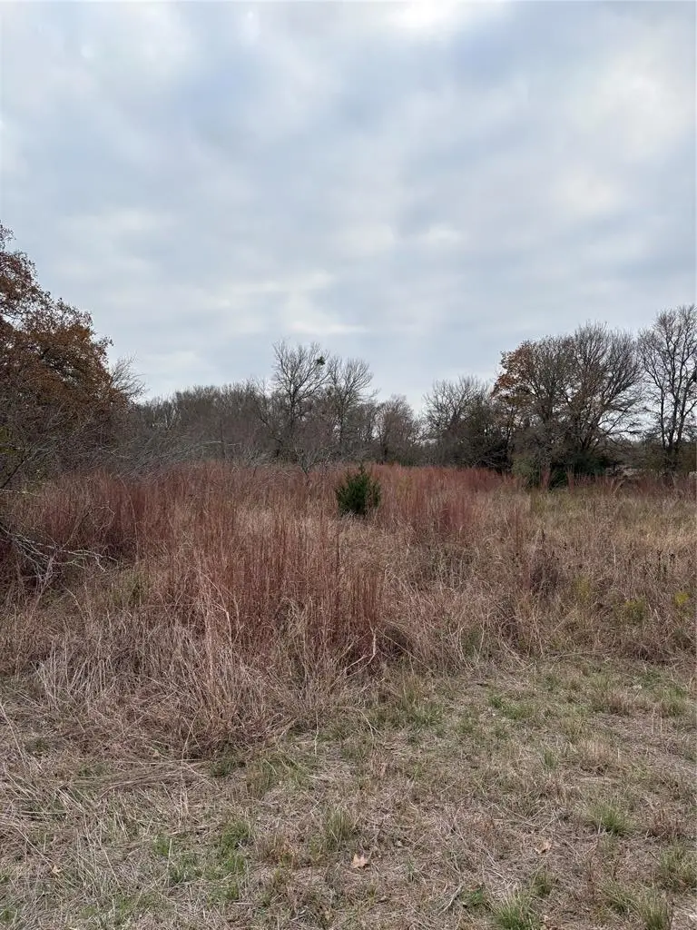 TBD James Craft Road James Craft Rd, Somerville, TX 77879 - #3