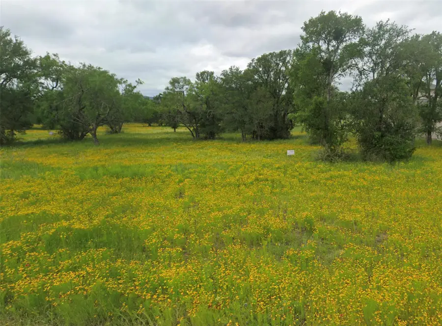 TBD Skyline Dr, Kingsland, TX 78639 - Image #2