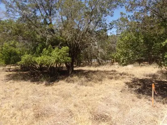 Lot 141 Pine Lane, Cottonwood Shores, TX 78657 - Image #3