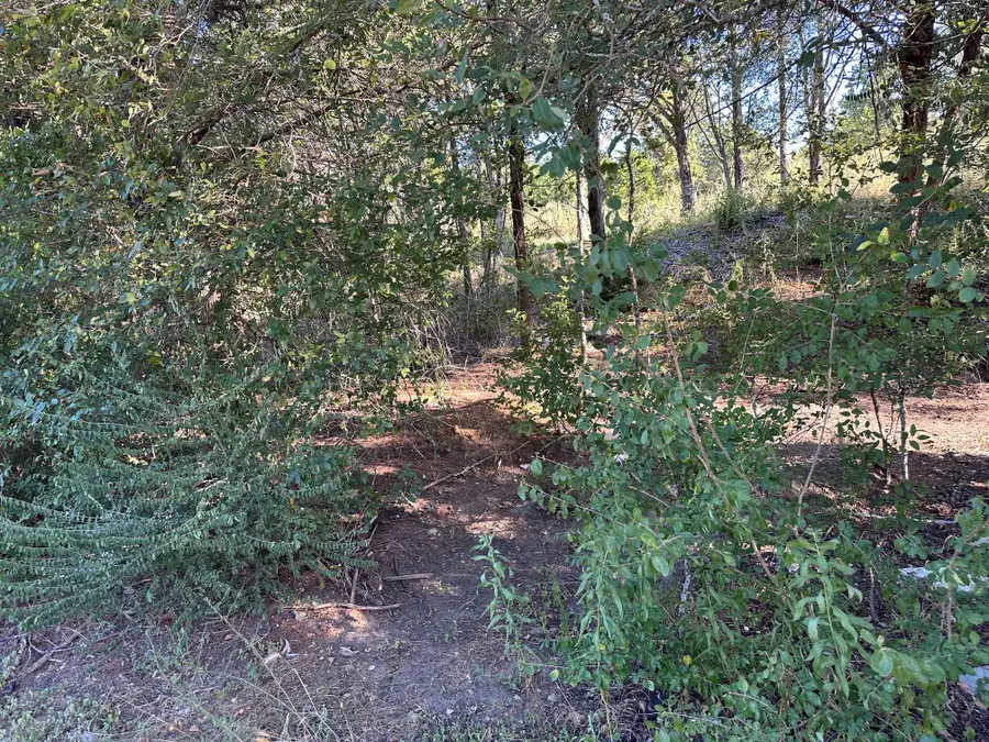 LOT 9 Robin Run, Bastrop, TX 78602 - #3