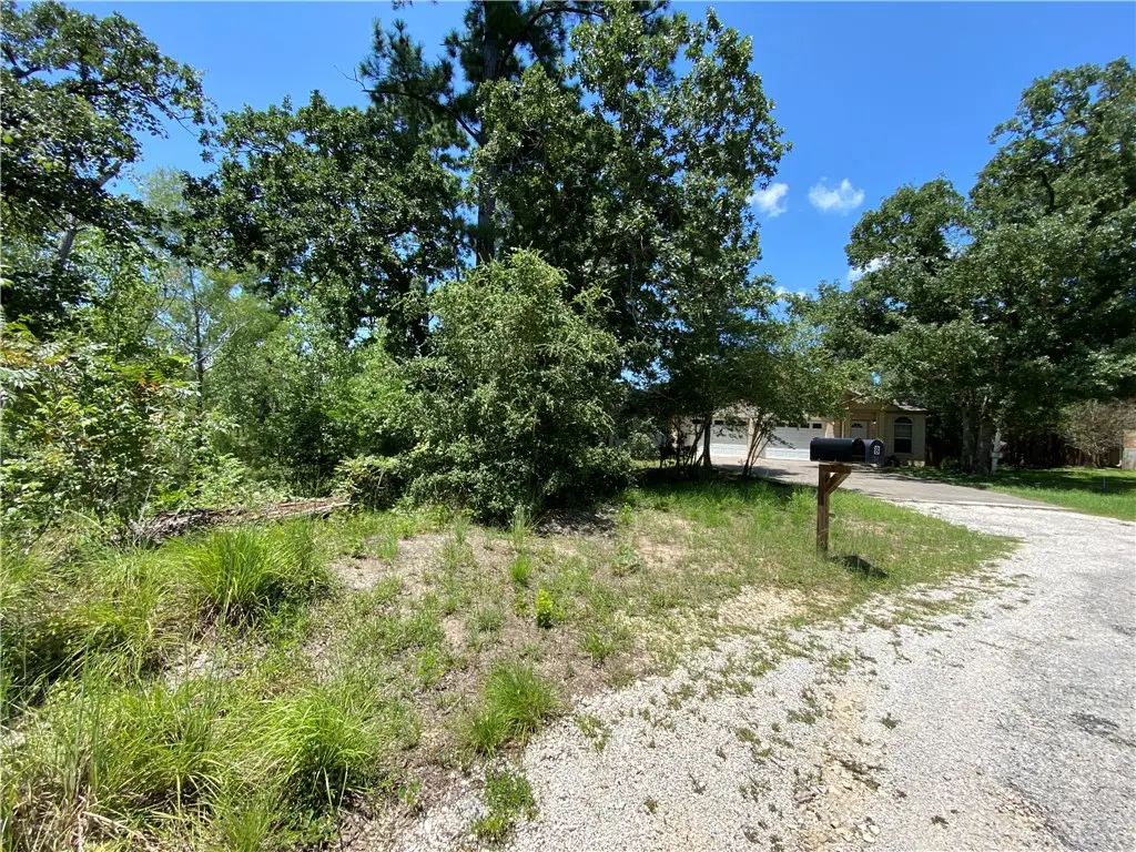 LOT 1734 N Kanaio Dr Dr, Bastrop, TX 78602 - Image #1