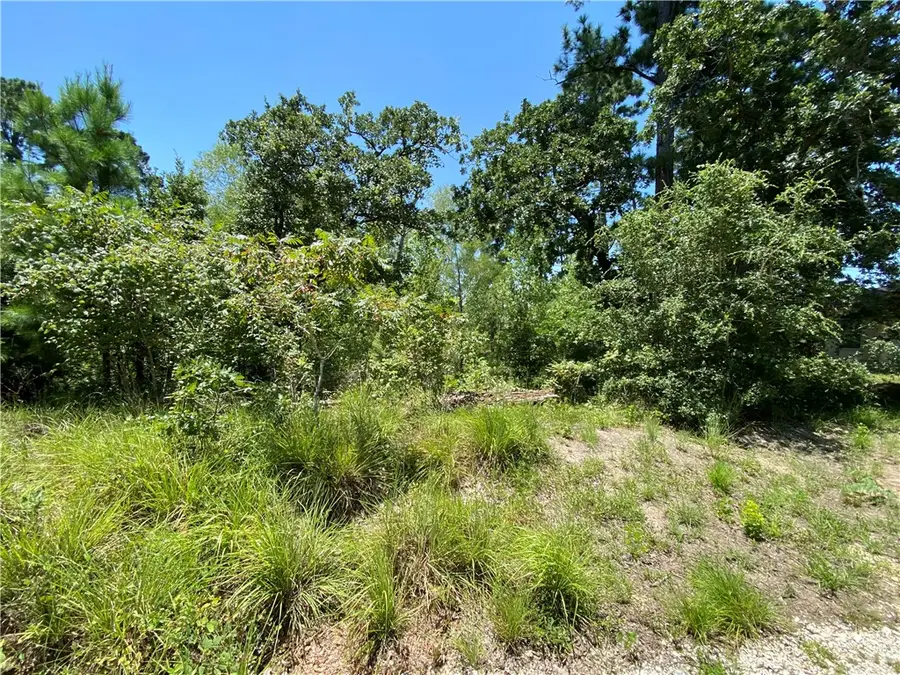 LOT 1734 N Kanaio Dr Dr, Bastrop, TX 78602 - Image #2