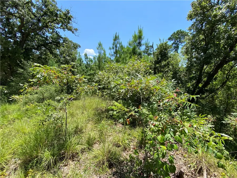 LOT 1734 N Kanaio Dr Dr, Bastrop, TX 78602 - Image #3