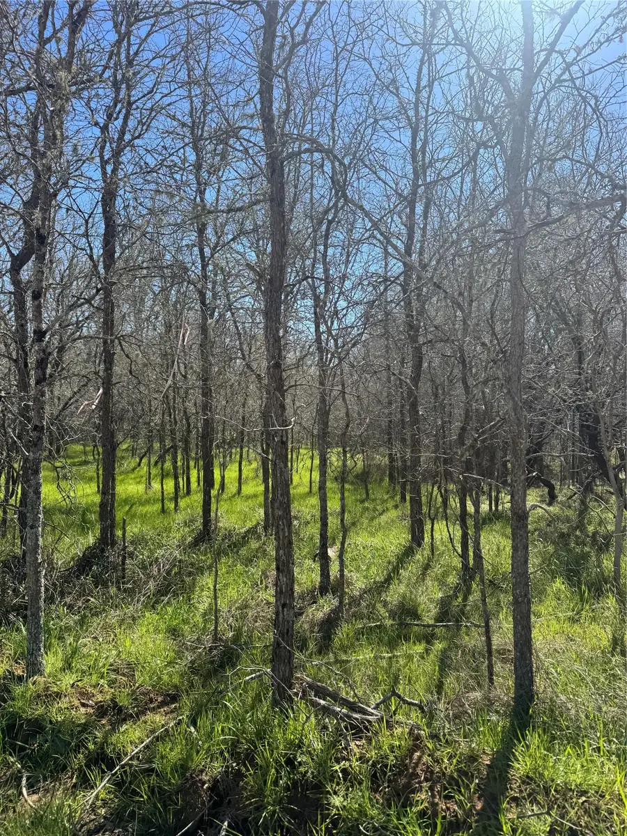 291 Kolekole Ln, Bastrop, TX 78602 - Image #2