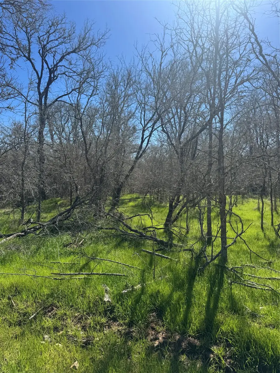 291 Kolekole Ln, Bastrop, TX 78602 - Image #3