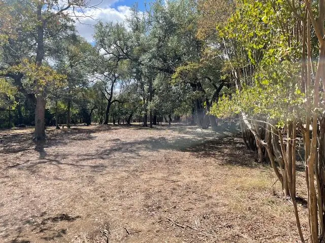 10801 Slaughter Creek Dr, Austin, TX 78748 - Image #2