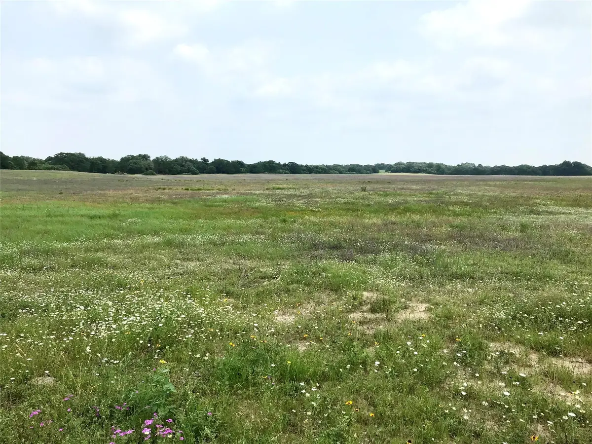 1672 Sayers Tract 3 Rd, Bastrop, TX 78602 - #1