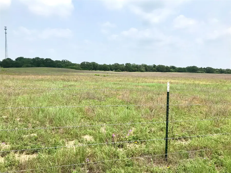 1672 Sayers Tract 3 Rd, Bastrop, TX 78602 - #3
