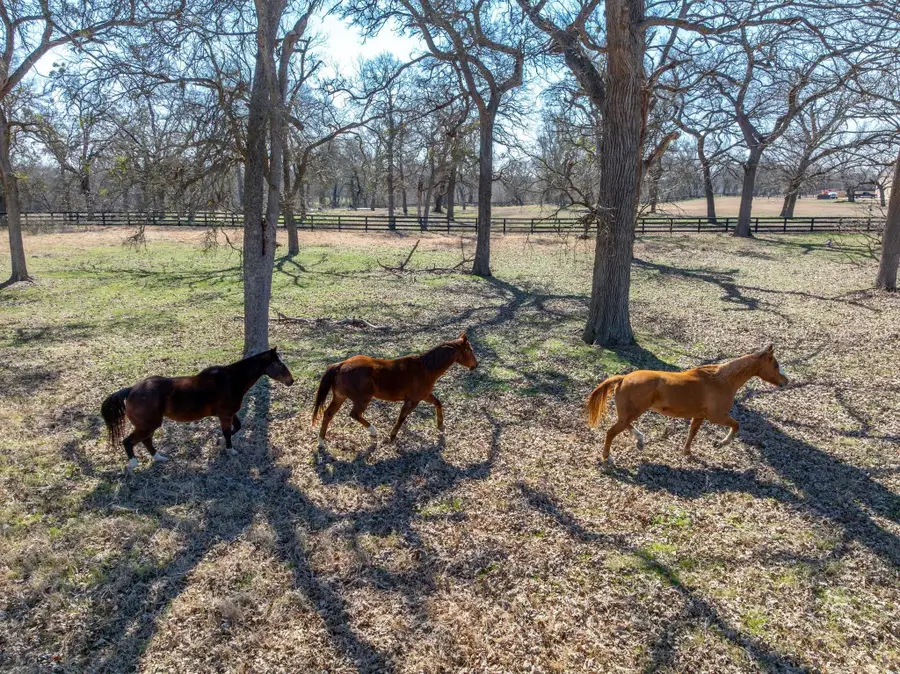 105 River Valley Dr, Georgetown, TX 78626 - Image #3