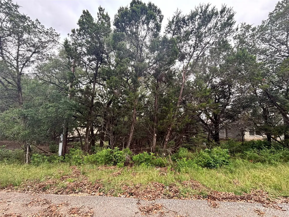 1684 Westview Court Dr, Canyon Lake, TX 78133 - Image #1