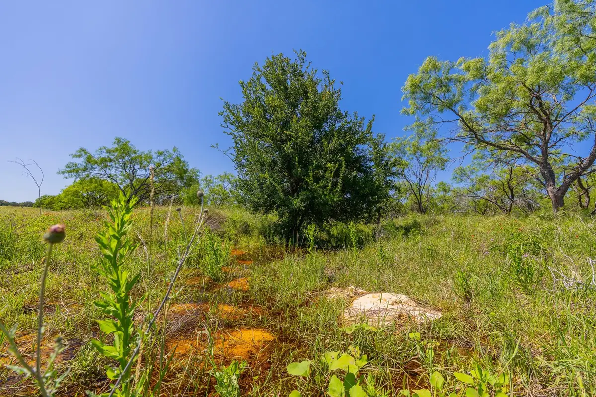 TBD Hidden Pond Ranch County Road 180 Rd, Purmela, TX 76566 - #1