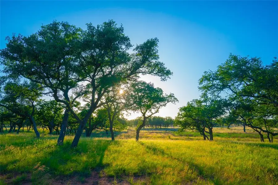 0 High Point Ranch, Johnson City, TX 78636 - #2
