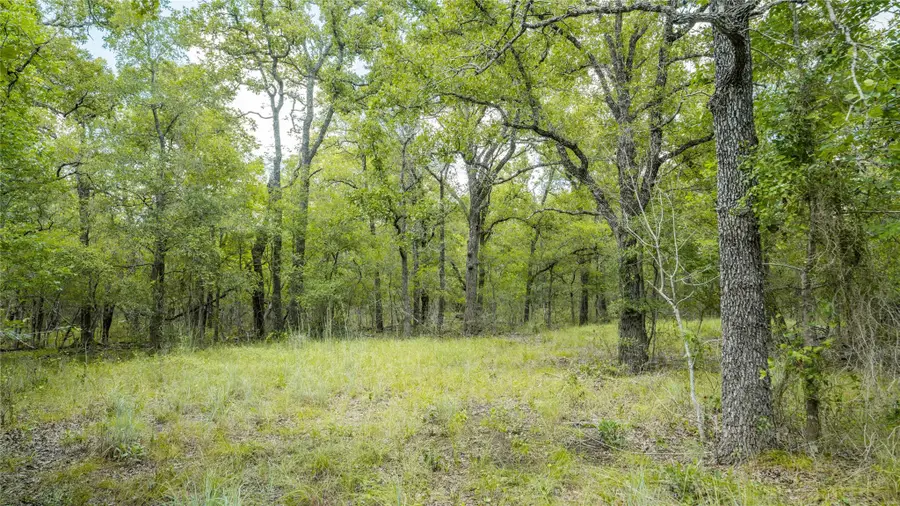 418-F County Road 405, Buckholts, TX 76518 - Image #2