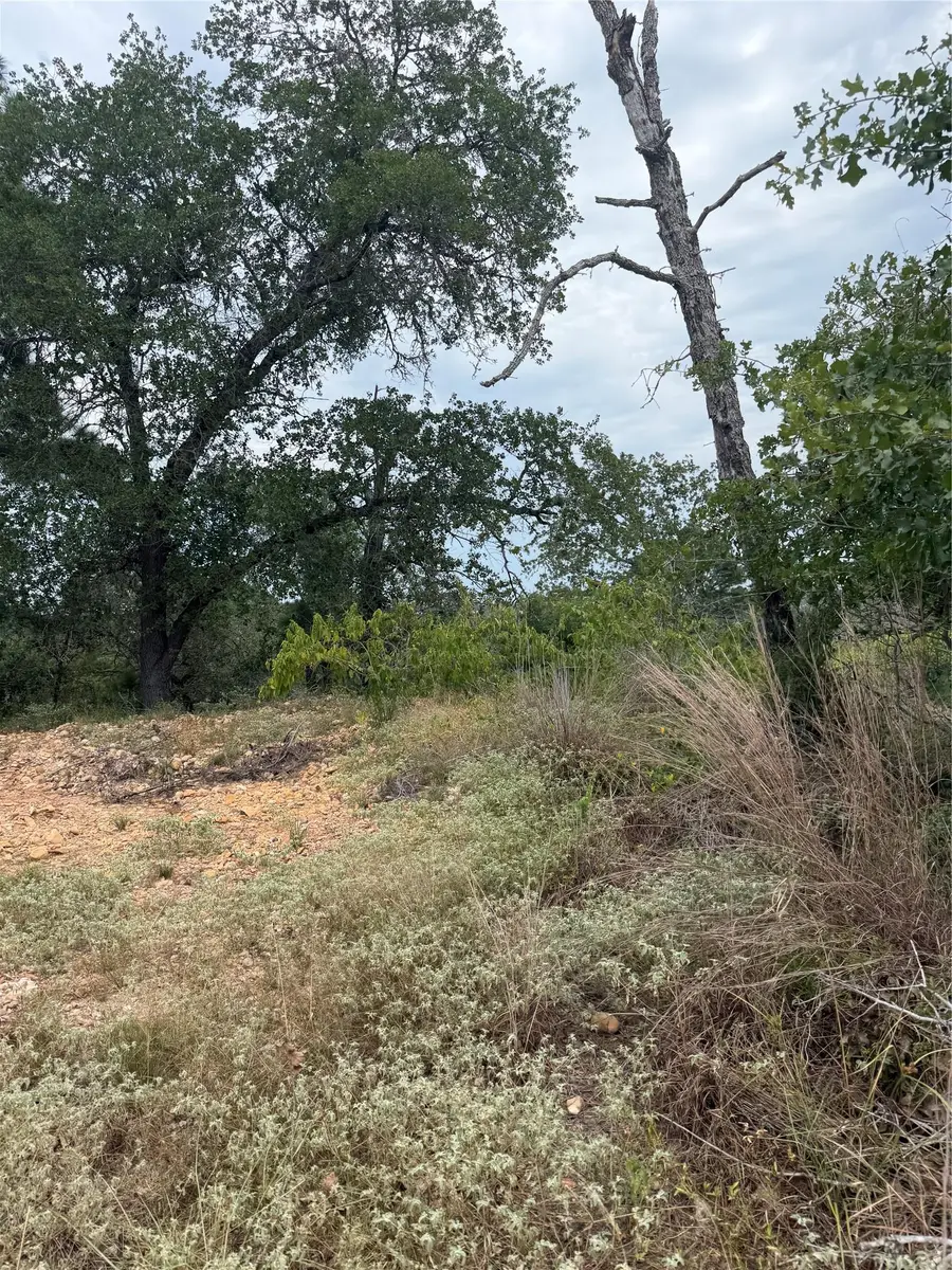 Lots 236 and 237 Kaelepulu Ln, Bastrop, TX 78602 - #3