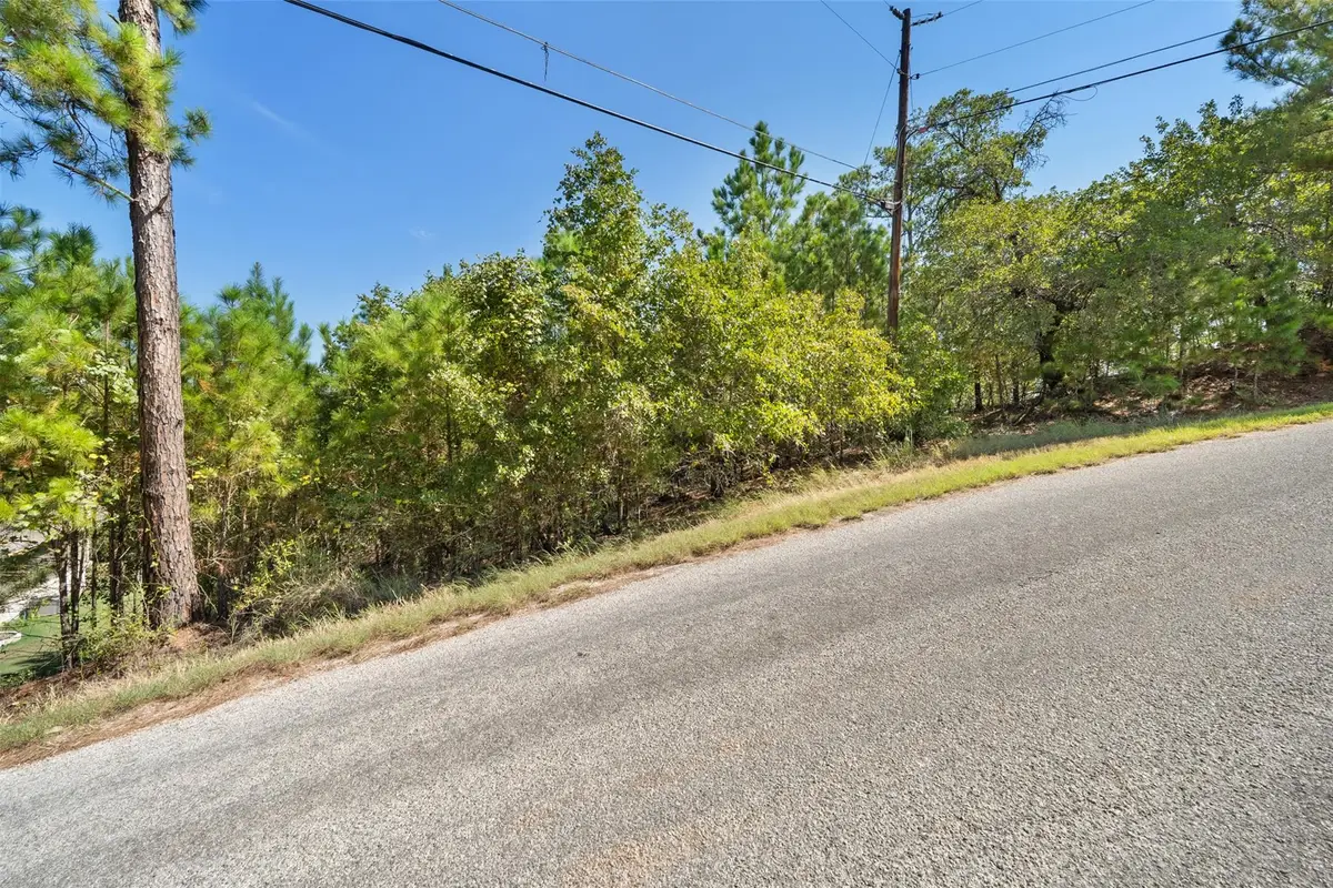 TBD Mamalu Dr, Bastrop, TX 78602 - Image #1