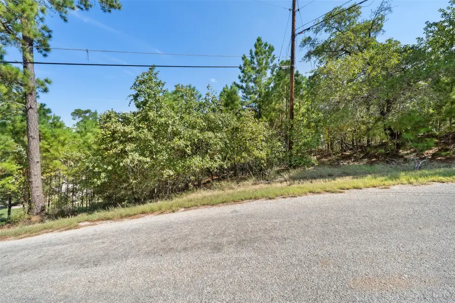 TBD Mamalu Dr, Bastrop, TX 78602 - Image #2