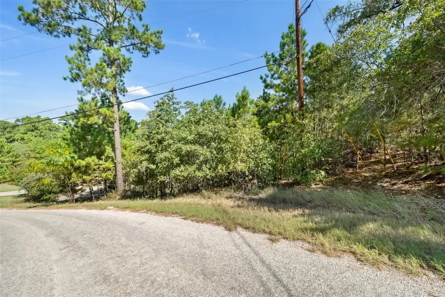 TBD Mamalu Dr, Bastrop, TX 78602 - Image #3