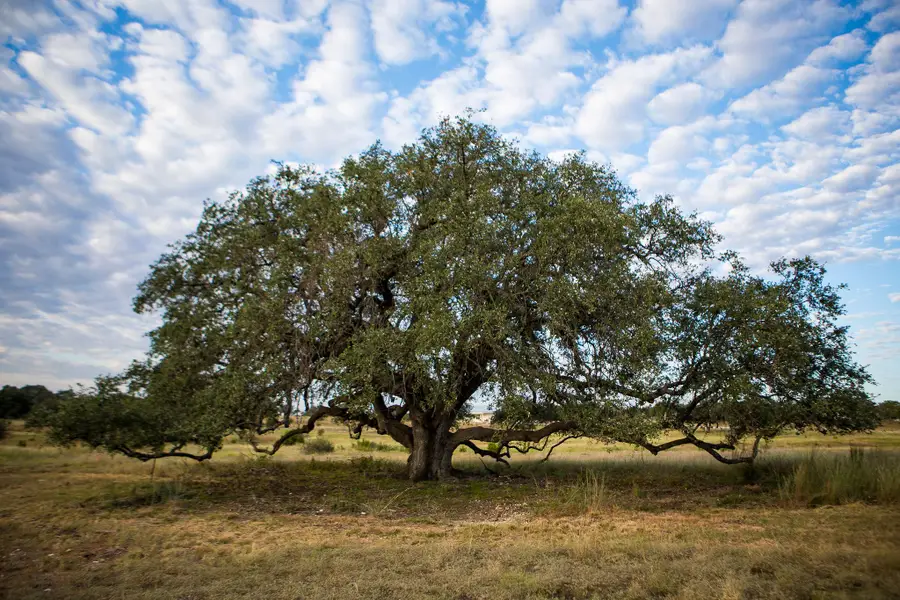 0 Vaquero Vista Trl, Lampasas, TX 76550 - Image #3
