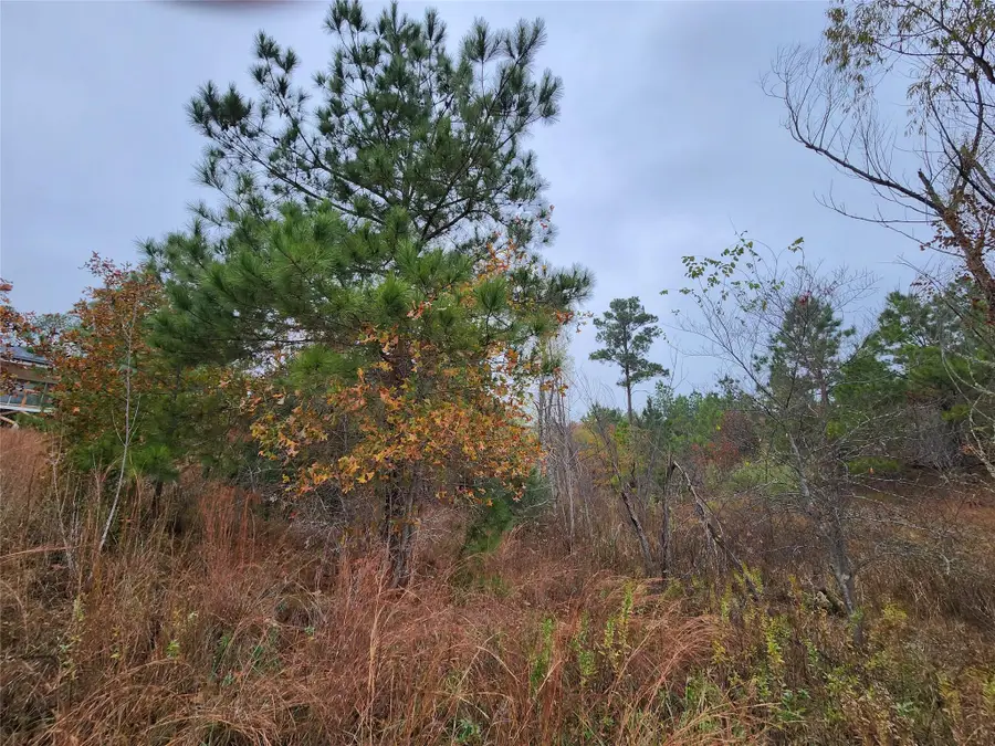 TBD Mahalo Ct, Bastrop, TX 78602 - #3
