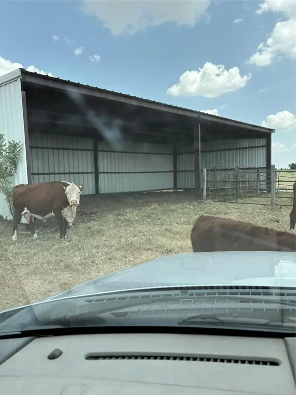 600 County Road 444 Land, Thorndale, TX 76577